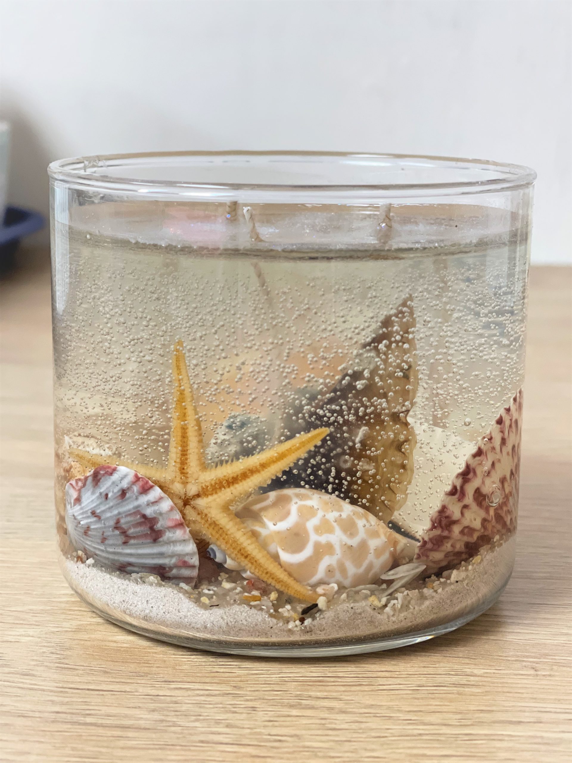 XL Gel Candle with Ocean Rain Aroma & Real Sea Shells and Sand from Florida
